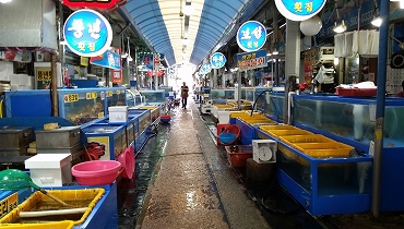 馬山魚市場